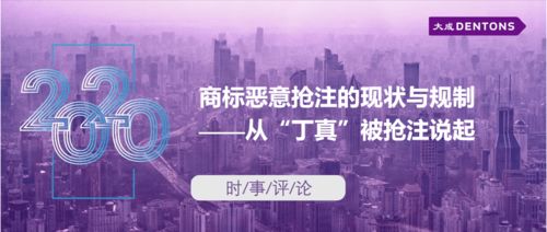 商標(biāo)惡意搶注的現(xiàn)狀與規(guī)制——從丁真被搶注說起丨大成時(shí)事評論